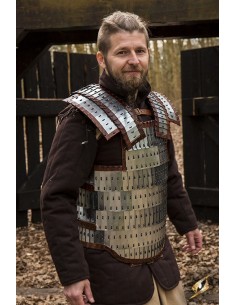 Viking Armour - Polished...