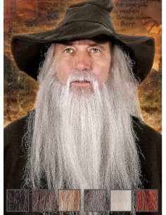 Beard - Wizard - Grey